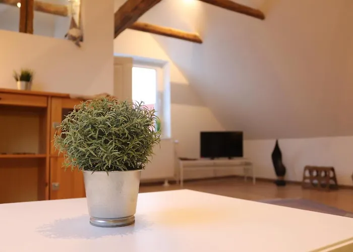 Drei Linden Appartamento Borssum